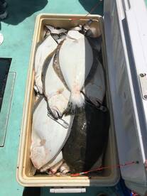 The fish were biting GOOD!