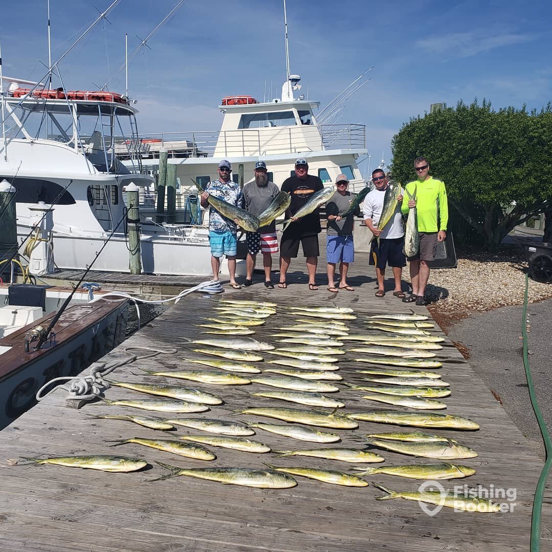 Manteo Report Photo 0