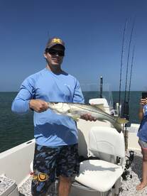 Marco Island Report Photo 2