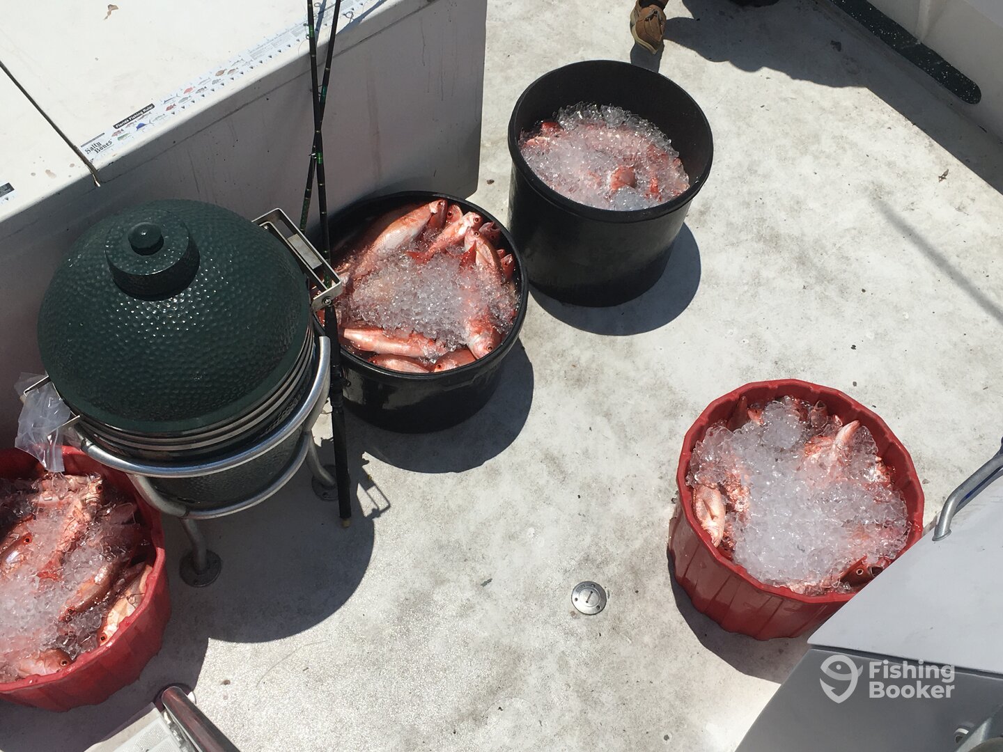 Orange Beach Report Photo 0