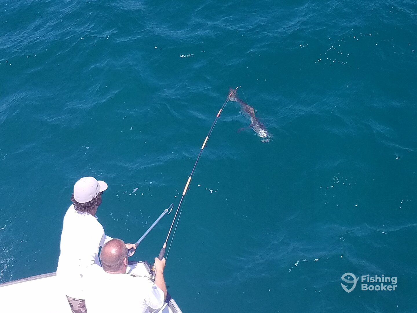 Nags Head Report Photo 0