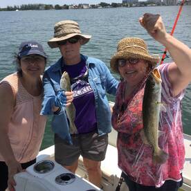 Clearwater Report Photo 1