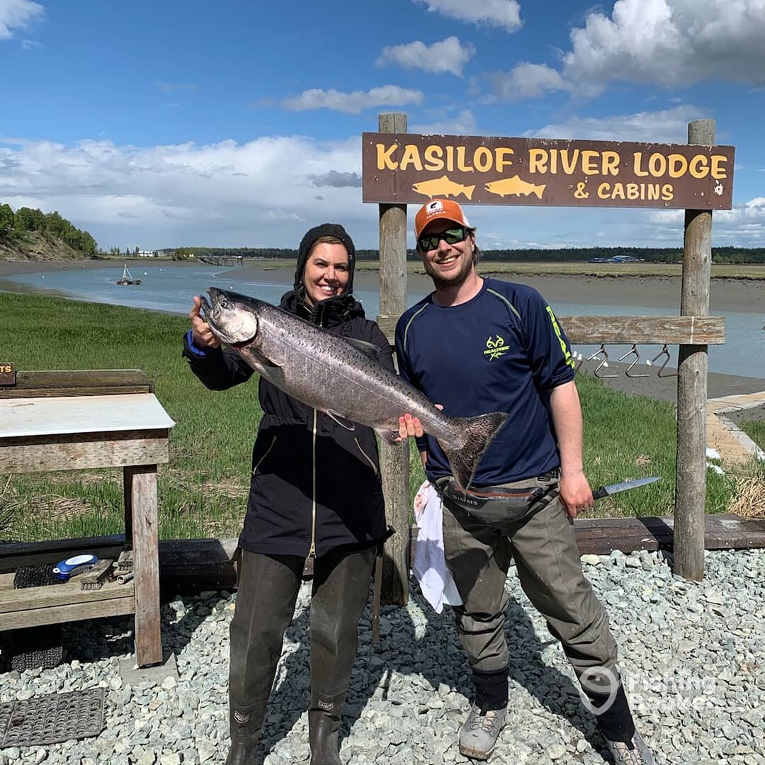 Soldotna Report Photo 0