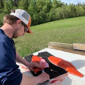 Soldotna Report Photo 2