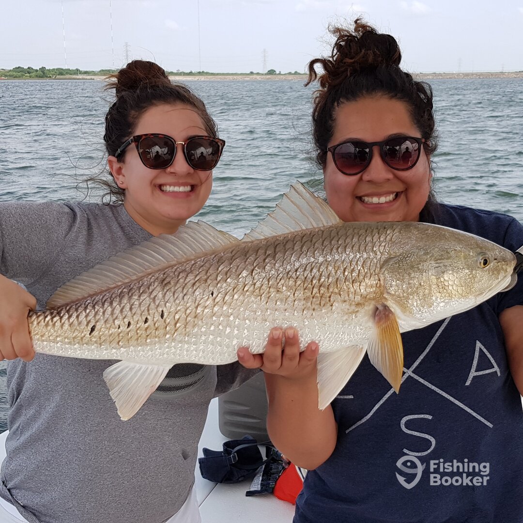 San Antonio Report Photo 0