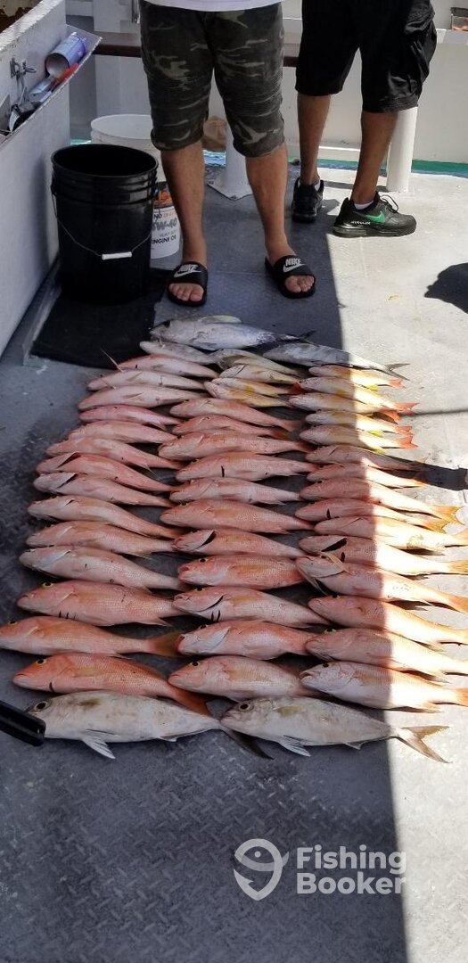 Fort Lauderdale Report Photo 0