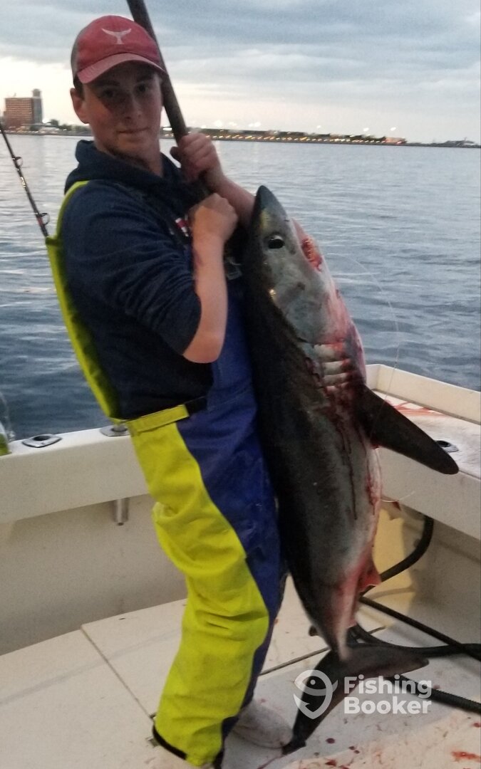 Arghhhh. Im talkin about sharkin'