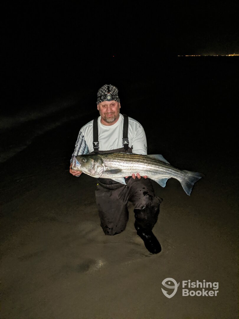 Stone Harbor Report Photo 0