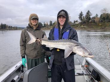 Portland Report Photo 2