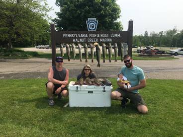 Closing out May with Mayhem