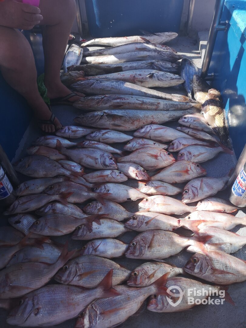 Durban Report Photo 0