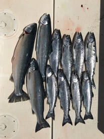 Winthrop Harbor Report Photo 2