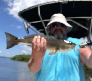 Bonita Springs Report Photo 2