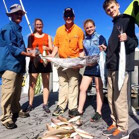 Kingfish and Snapper on the Reef
