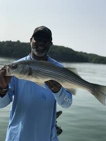 Cumming Report Photo 1