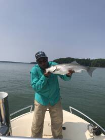 Cumming Report Photo 2