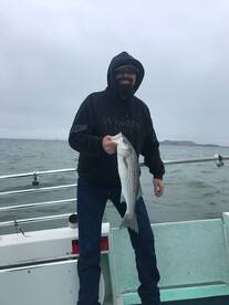 San Francisco Report Photo 2