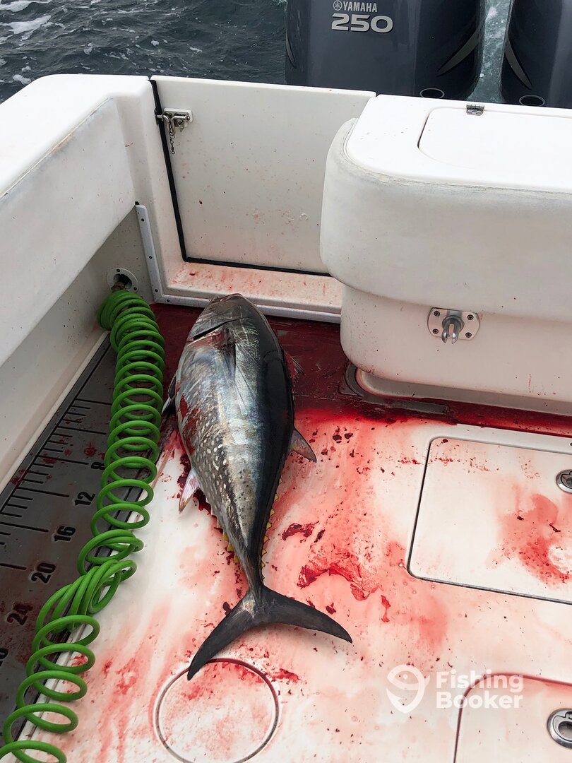 Point Pleasant Beach Report Photo 0