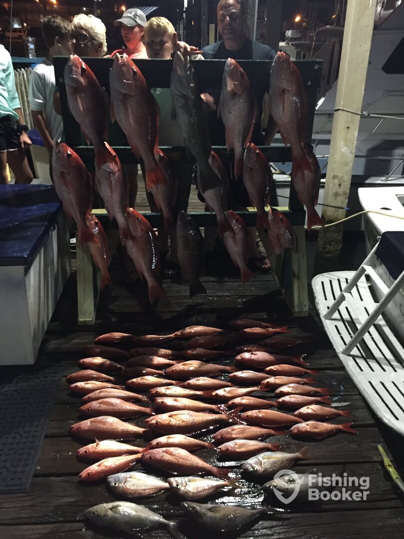 Panama City Report Photo 0