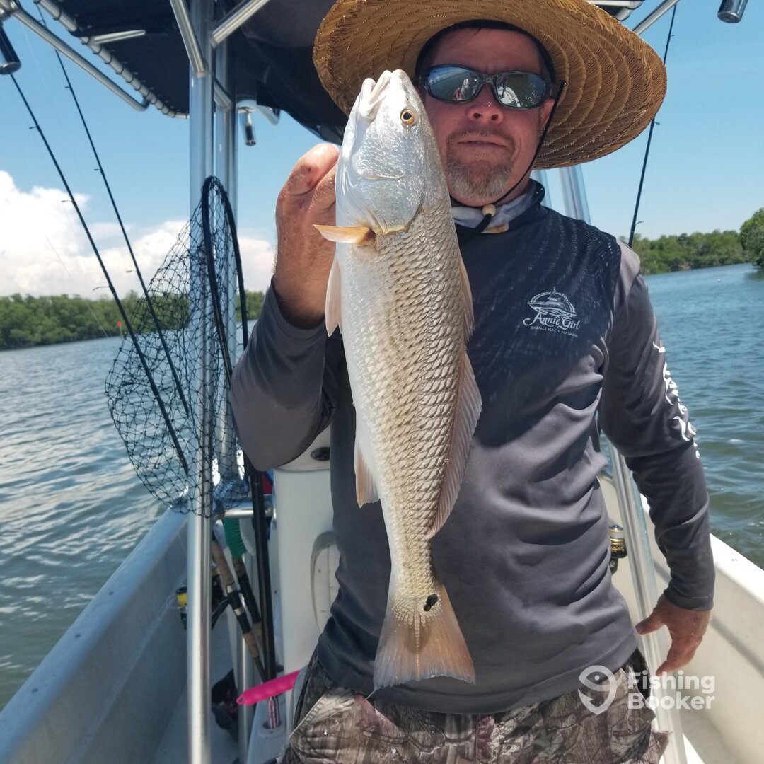 Bonita Springs Report Photo 0