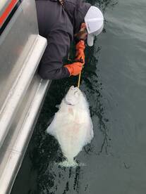 Seward Report Photo 1