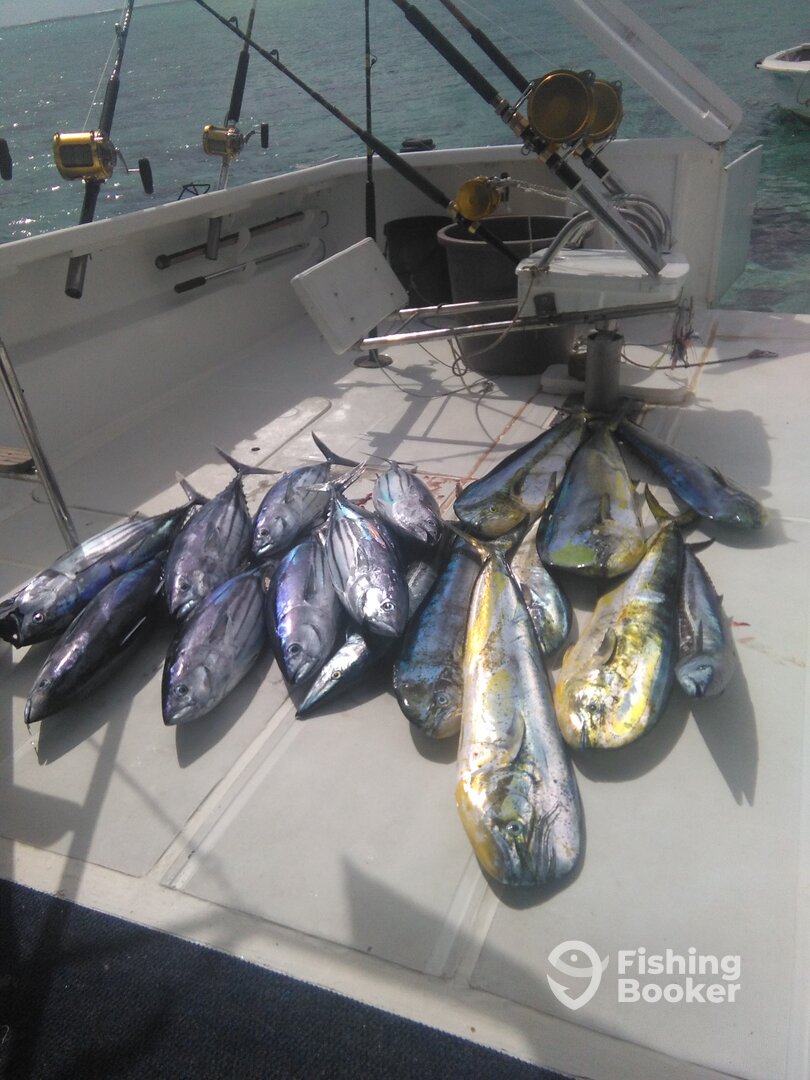 Le Morne Report Photo 0