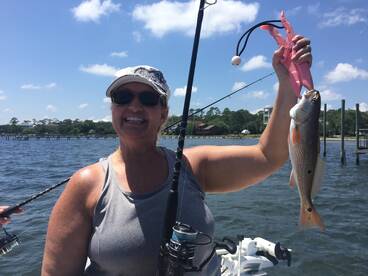 Navarre Report Photo 2