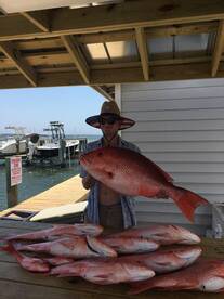 Snapper season is here 