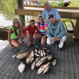 St. Bernard Report Photo 2