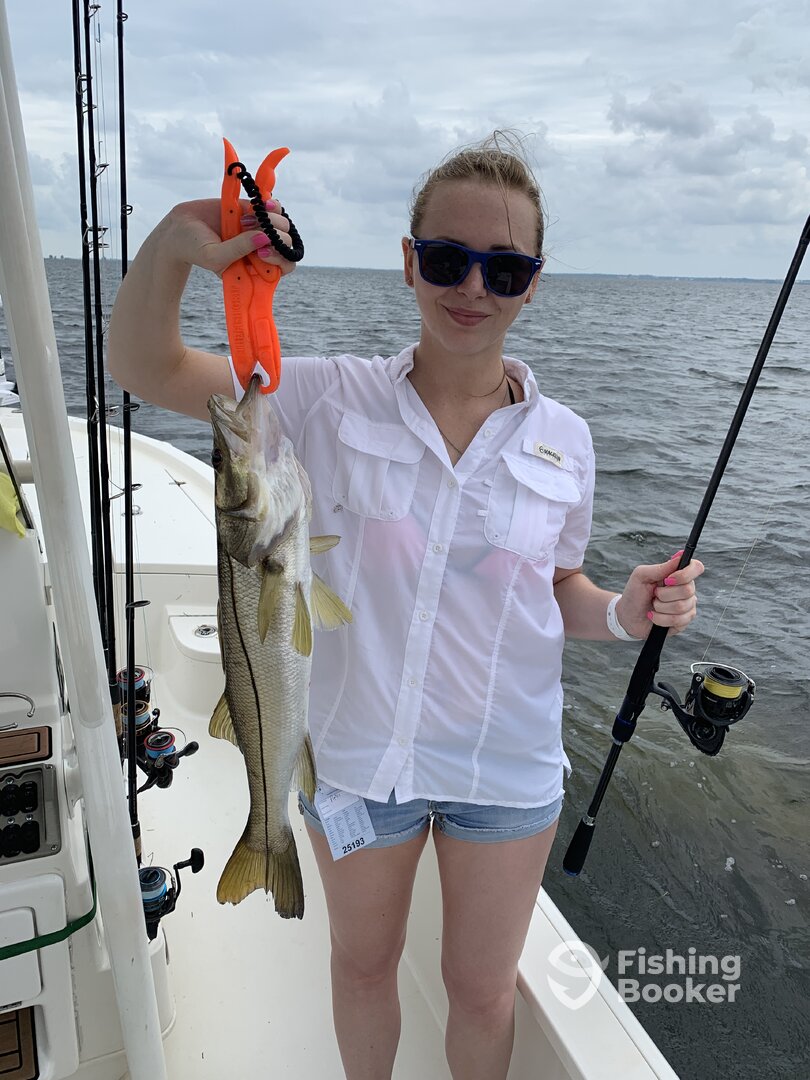 Clearwater Report Photo 0