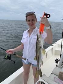 Clearwater Report Photo 1