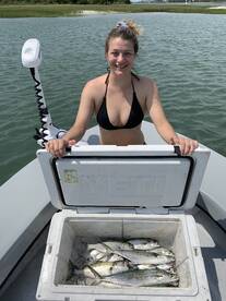 Family Fun Trips, Good Variety 