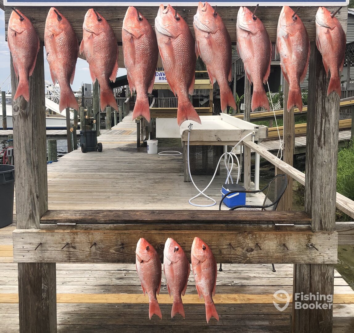 Destin Report Photo 0