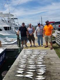 Nags Head Report Photo 1