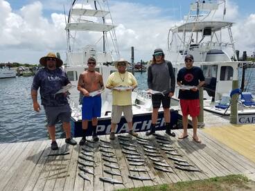 Great action on half day trips!!