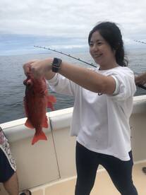 Great islands fishing 