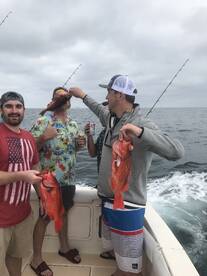 Half day Bachelor party