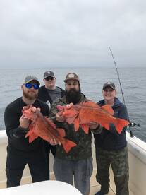 Limits of big reds!!