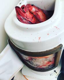 San Diego Report Photo 2