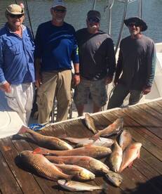 Chauvin Report Photo 4