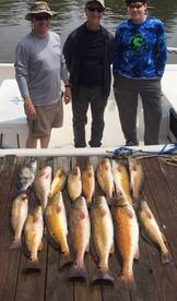 Chauvin Report Photo 3