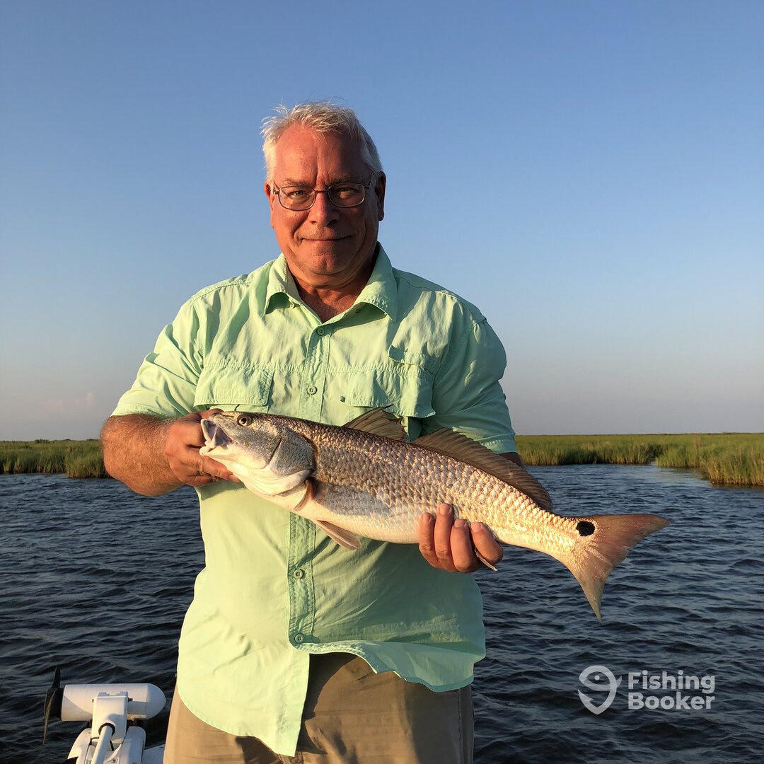 St. Bernard Report Photo 0