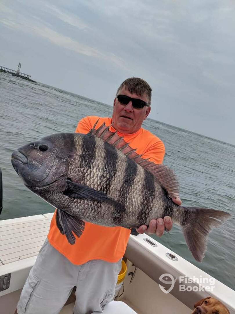 Ocean City Report Photo 0