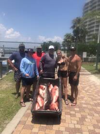 Orange Beach Report Photo 1