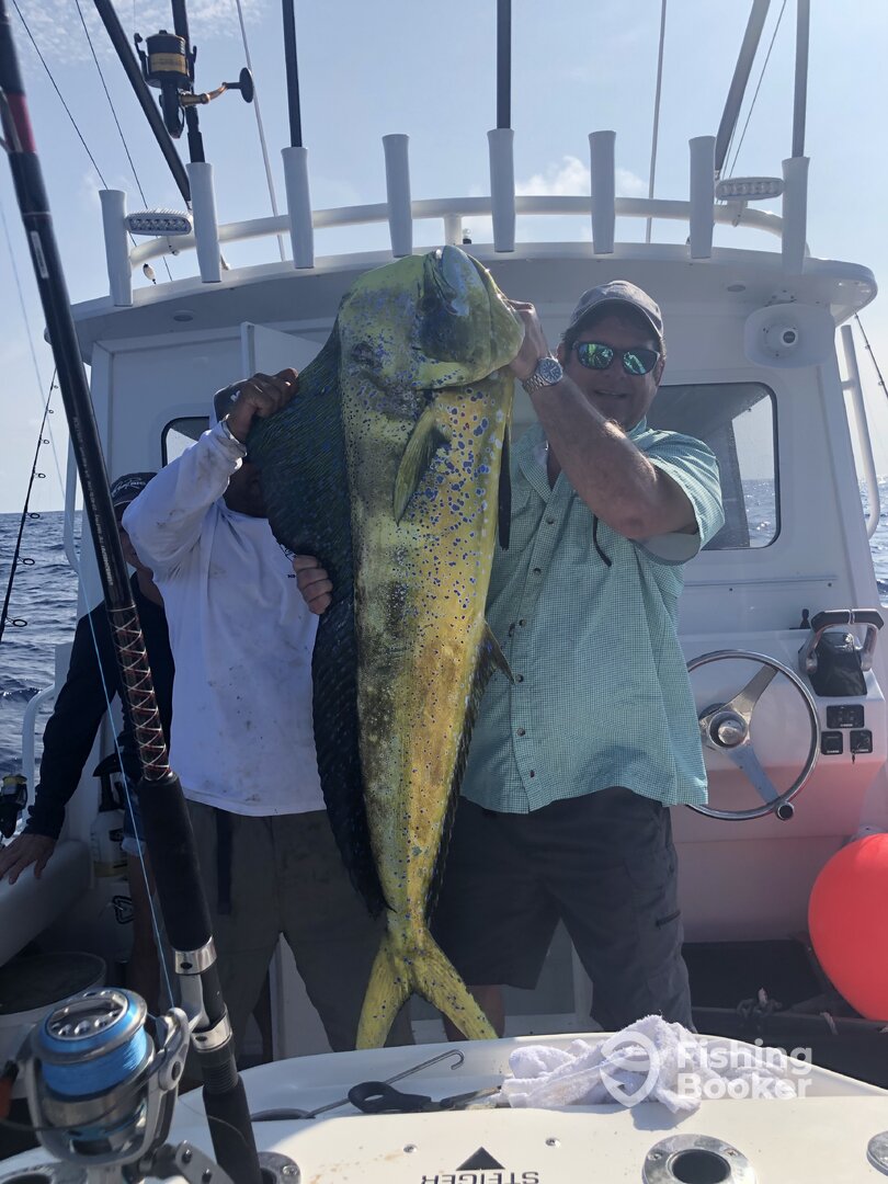 Marathon Report Photo 0