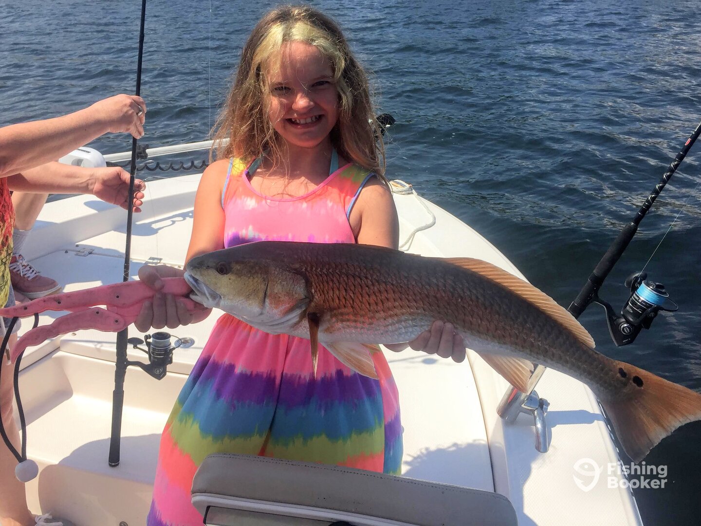 Navarre Report Photo 0