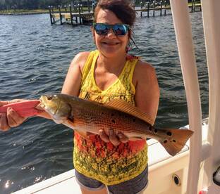 Navarre Report Photo 1