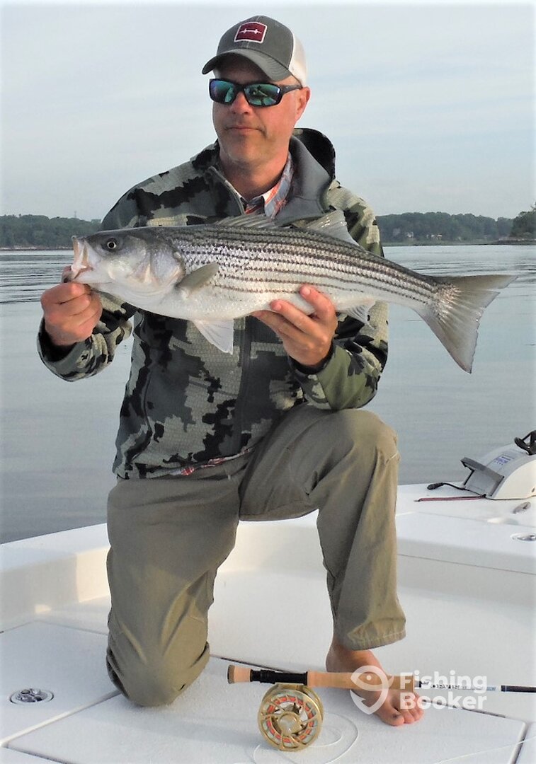 Punta Gorda Report Photo 0