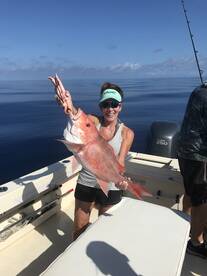 Englewood Report Photo 1