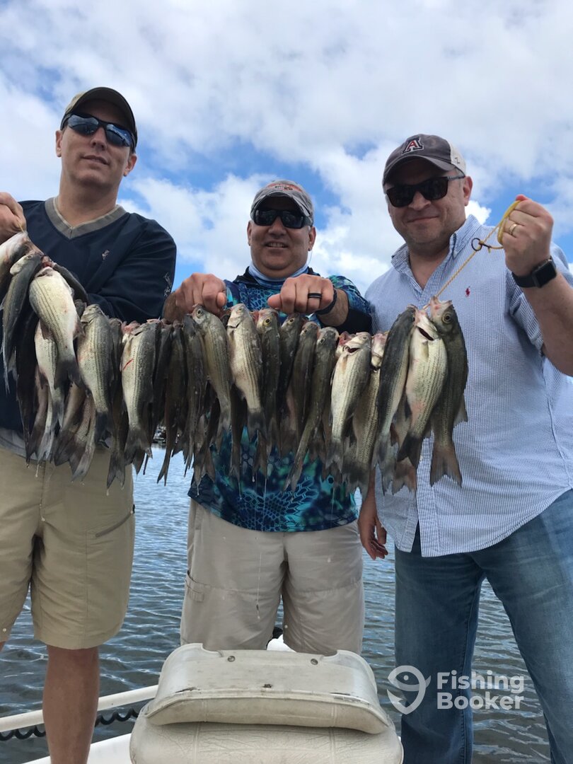 Grapevine Report Photo 0